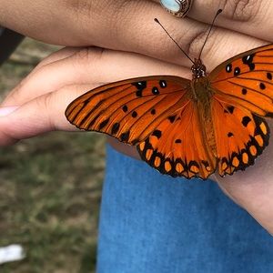 Meet your Posher, Vanessa